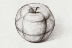 新手如何画好苹果的结构素描