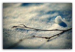 冰雪摄影技巧大盘点