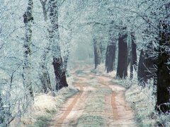 如何用数码摄像机拍摄雪天美景？