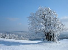 雪天拍摄内容与技巧