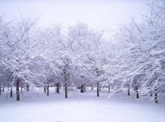 雪景拍摄技巧