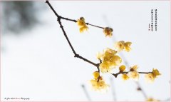 风光摄影表现手法