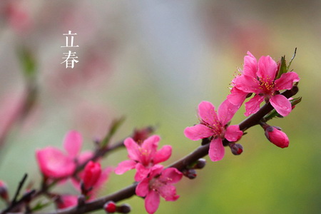 春天摄影