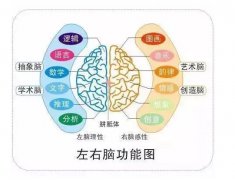 中国的学生是否该上艺术课