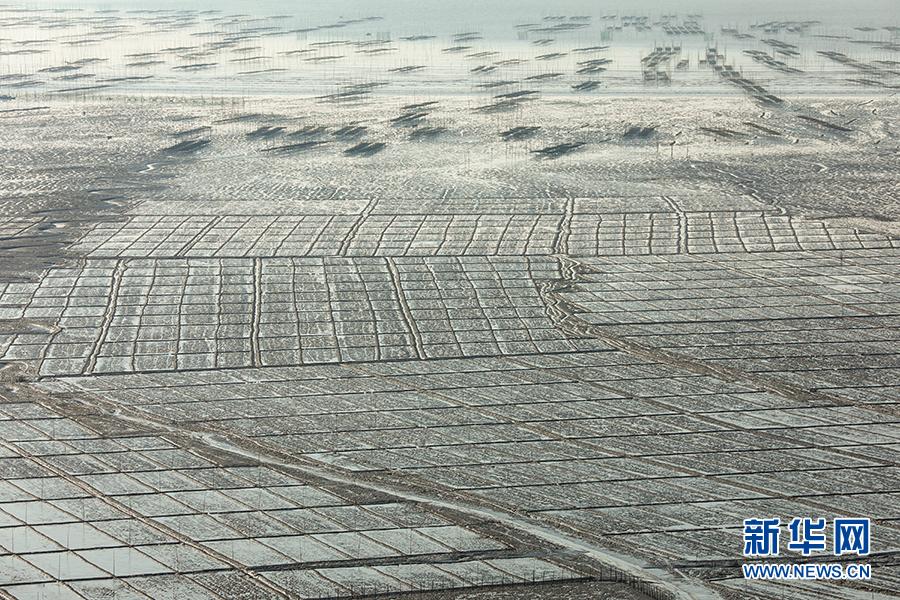 浙江沿浦：打造“蓝色海湾·光绘沿浦”摄影小镇
