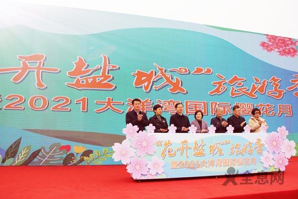 樱花浪漫时，相聚大洋湾