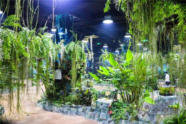 济南这片“热带雨林”免费参观！
