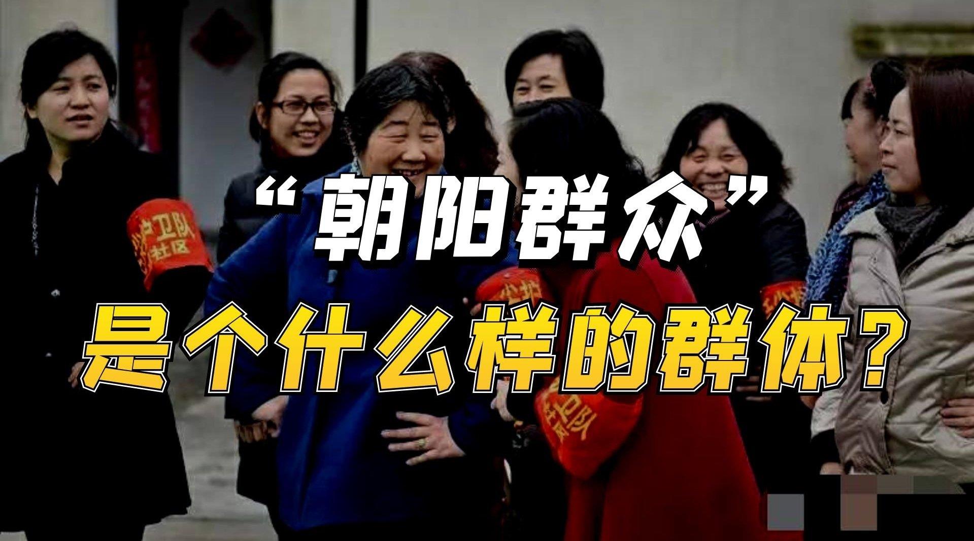 厉害了,我的“朝阳群众”!