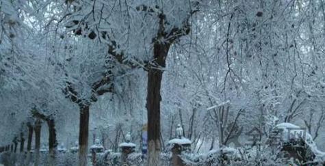 我国北方多地降雪 各地多措并举保民生