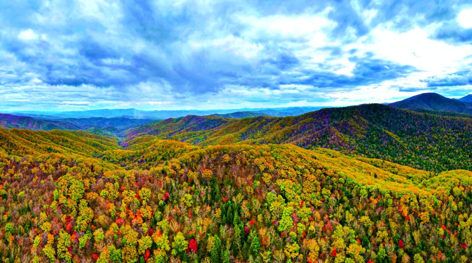 专家称到国家公园应学会“沉浸式体验”