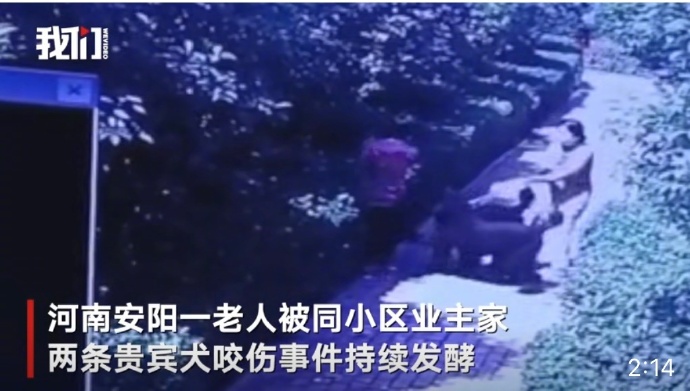 前后耗时2个多月！中纪委评狗咬人事件：不能止于道歉