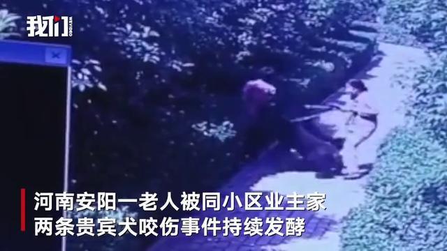 五问安阳“狗咬人”事件，小事为何被拖大？