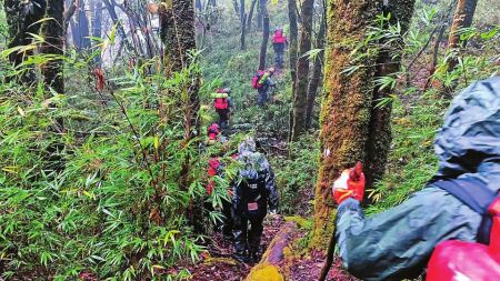哀牢山四名失联人员均已遇难，专业人士为何遭遇不测？