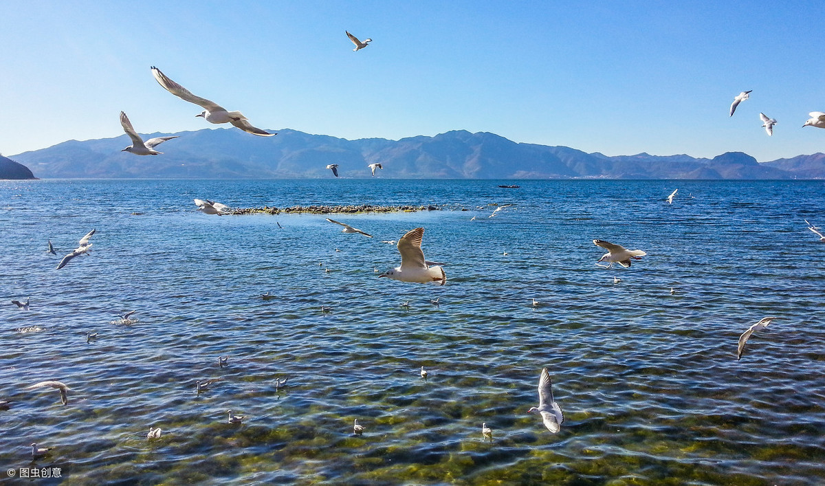 发改委：推动滇池、洱海等发展湖泊旅游