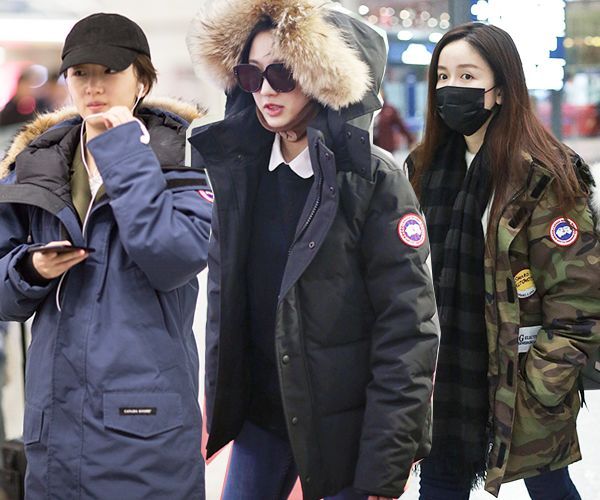 加拿大鹅被约谈！参会人员“一问三不知”？