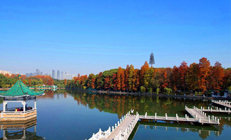 冬日暖阳映东湖 碧潭观鱼九曲回廊