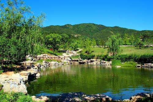 钻进森林，除了徒步，还可以探洞赏花