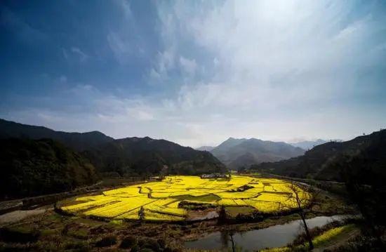 “云游黄山”为未来出游埋下种子