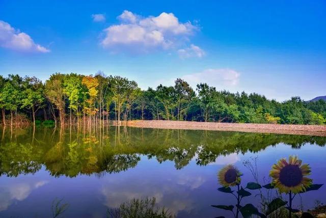 安徽：黄山坝上好风光