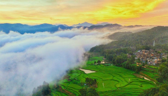 云南红河：千年梯田嵌“翡翠”