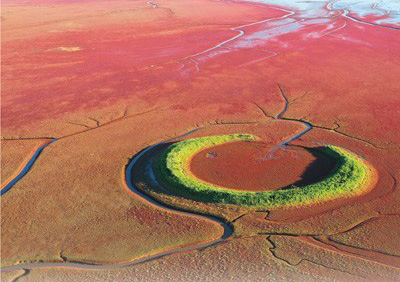 辽河口 北国海滨，绿苇红滩