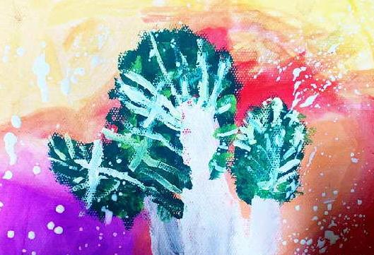 菠菜最高卖到20元/斤，大白菜上涨近50%，到底啥情况？