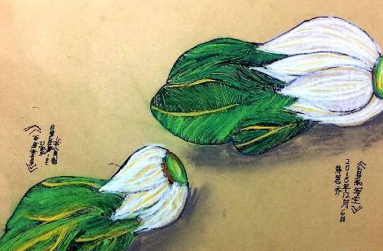 近期蔬菜价格暴涨，未来走势如何？相关部门回应