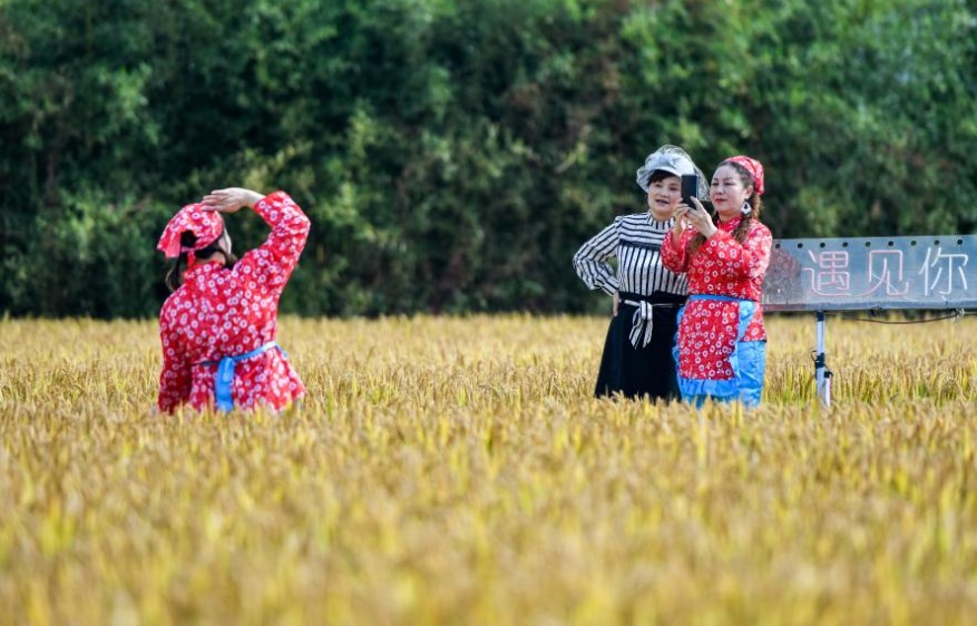 湖北黄梅：农文旅融合助力乡村振兴