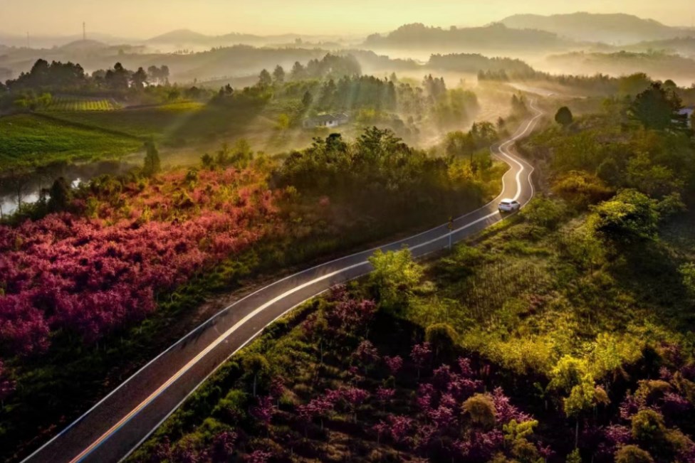 江苏溧阳：生态赋能走出农文旅深度融合新路径