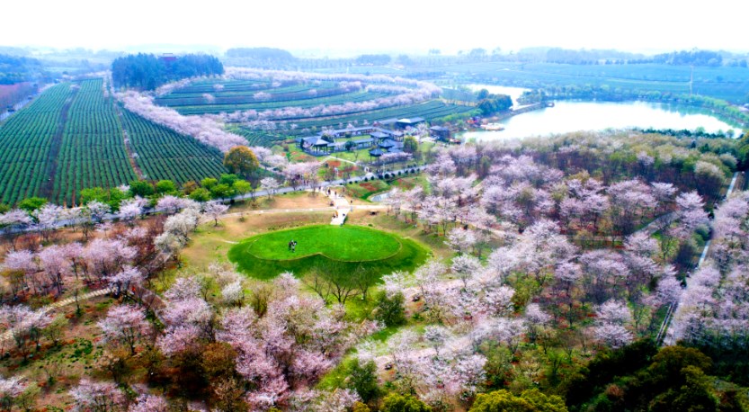 从南昌南站出发 看千年古县风光