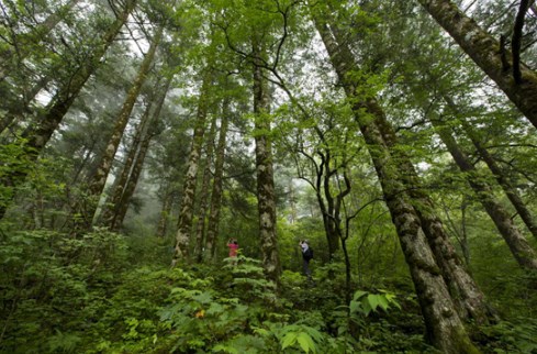 神农架国家公园候选区——自然教育的“强磁场”