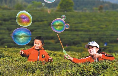 蚕桑农文旅融合发展呈现勃勃生机