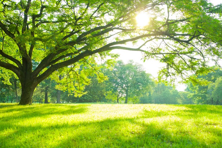 脱贫村发展文旅，也要精准发力