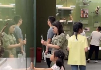 暑期文博大餐、文旅消费热力涌动 中华文化展现强大吸引力