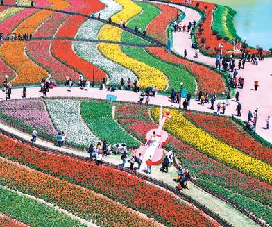 赏花游带动文旅新消费