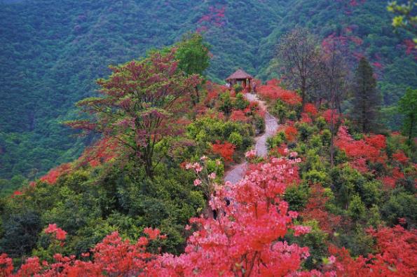 从“烟火气”到“文化味”，安徽春季旅游绘就“诗与远方”新画卷