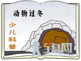 少儿科普--动物过冬