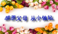 感恩父母 从小做起