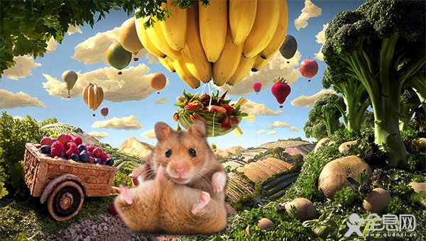 小白鼠在VR世界中，结果竟然发现…