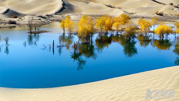 沙漠中如何解决缺水难题？从干燥空气中捕获水分