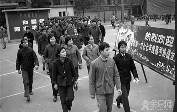 “文史哲”数理化”等基础学科受欢迎