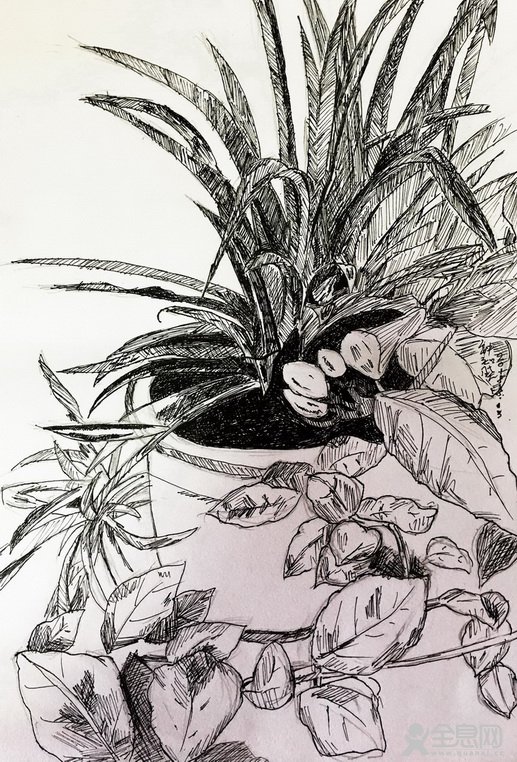 德馨斋文化传播有限公司