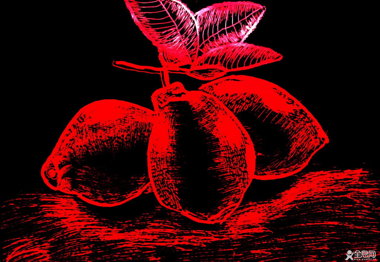 小画猫美术创意工作室