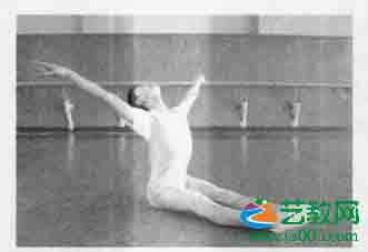 坐式双展翅胸腰