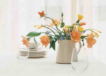 花卉摄影中背景的处理与光的运用