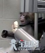 “意念”指挥机器人 为行动障碍病人传福音