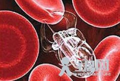 可以在毛细血管里工作的微型机器人