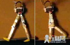 德机器人依靠双腿爬斜坡 模拟人行走获突破