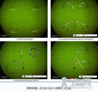 微型机器人在比针尖还小的舞台上跳舞