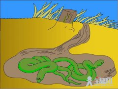 小动物过冬资料